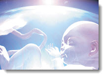 Kratman Training War