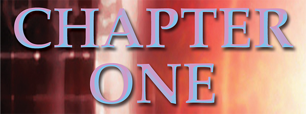 Chapter 1