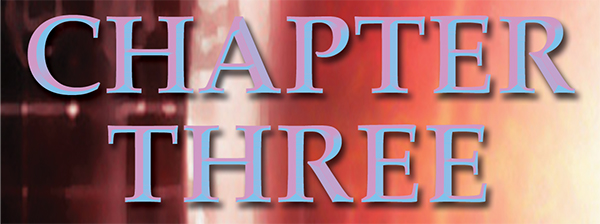 Chapter 3