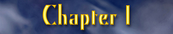 Chapter 1