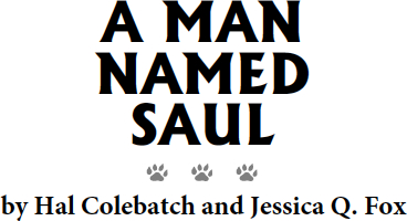 A MAN NAMED SAUL by Hal Colebatch and Jessica Q. Fox