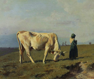 cow