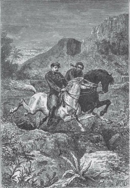 Theyseemedtransformedfrom