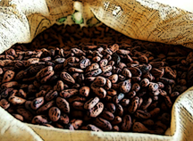 coffee beans
