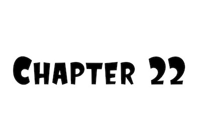 Chapter 22