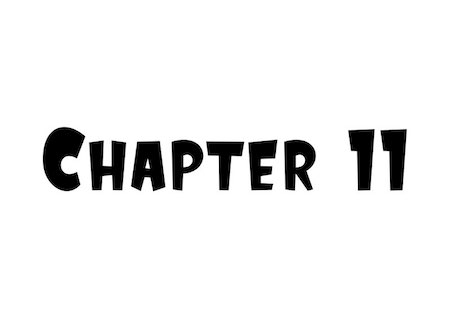 Chapter 11